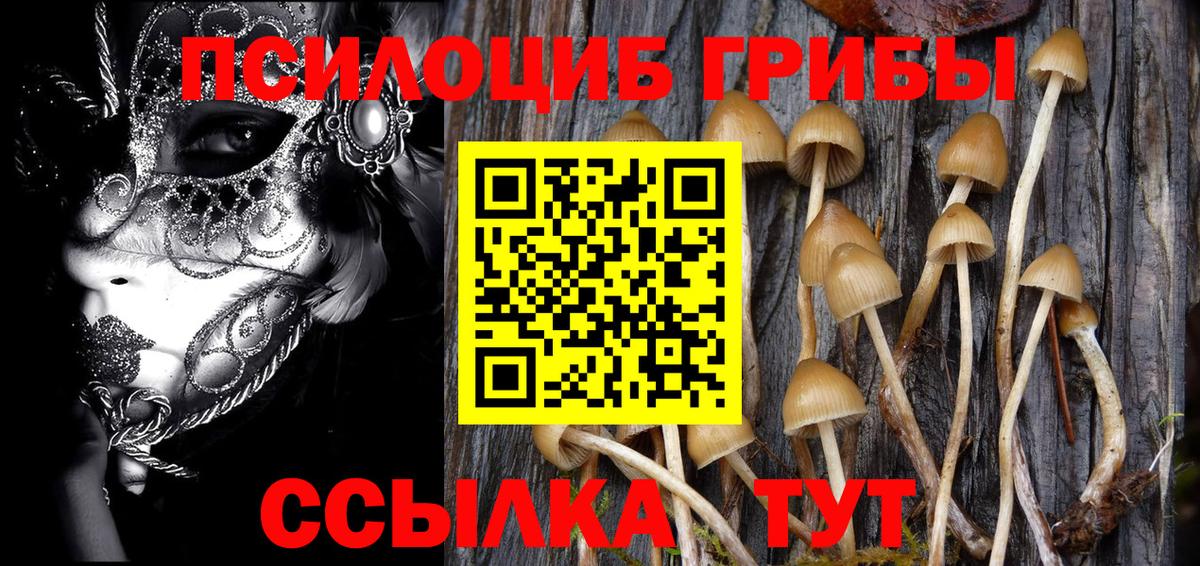 Галлюциногенные грибы прущие грибы Норильск